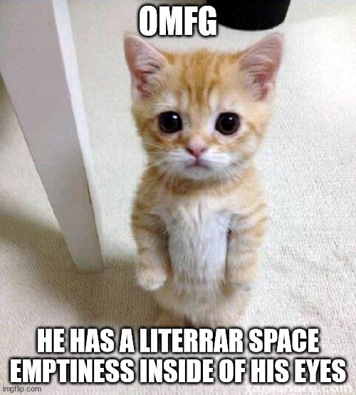 omfg | OMFG; HE HAS A LITERRAR SPACE EMPTINESS INSIDE OF HIS EYES | image tagged in memes,cute cat,omfg,space | made w/ Imgflip meme maker