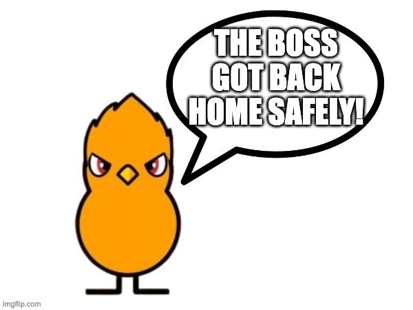 fun facts with nathaniel the duck/nathaniel the duck says! | THE BOSS GOT BACK HOME SAFELY! | image tagged in fun facts with nathaniel the duck | made w/ Imgflip meme maker