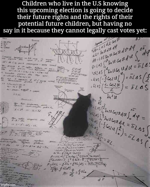 I cannot fathom the amount of stress some of those children must be feeling. | Children who live in the U.S knowing this upcoming election is going to decide their future rights and the rights of their potential future children, but having no say in it because they cannot legally cast votes yet: | image tagged in cat math stress | made w/ Imgflip meme maker