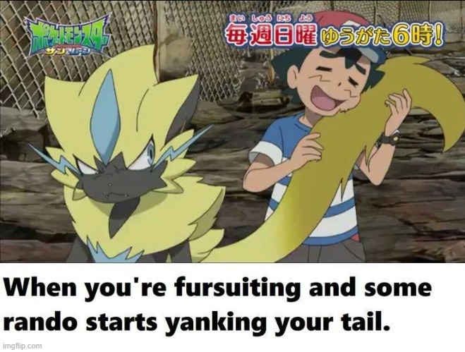 Only fursuiters can understand. | image tagged in furry and normie memes,fursuiter,funny,memes,why are you reading the tags | made w/ Imgflip meme maker