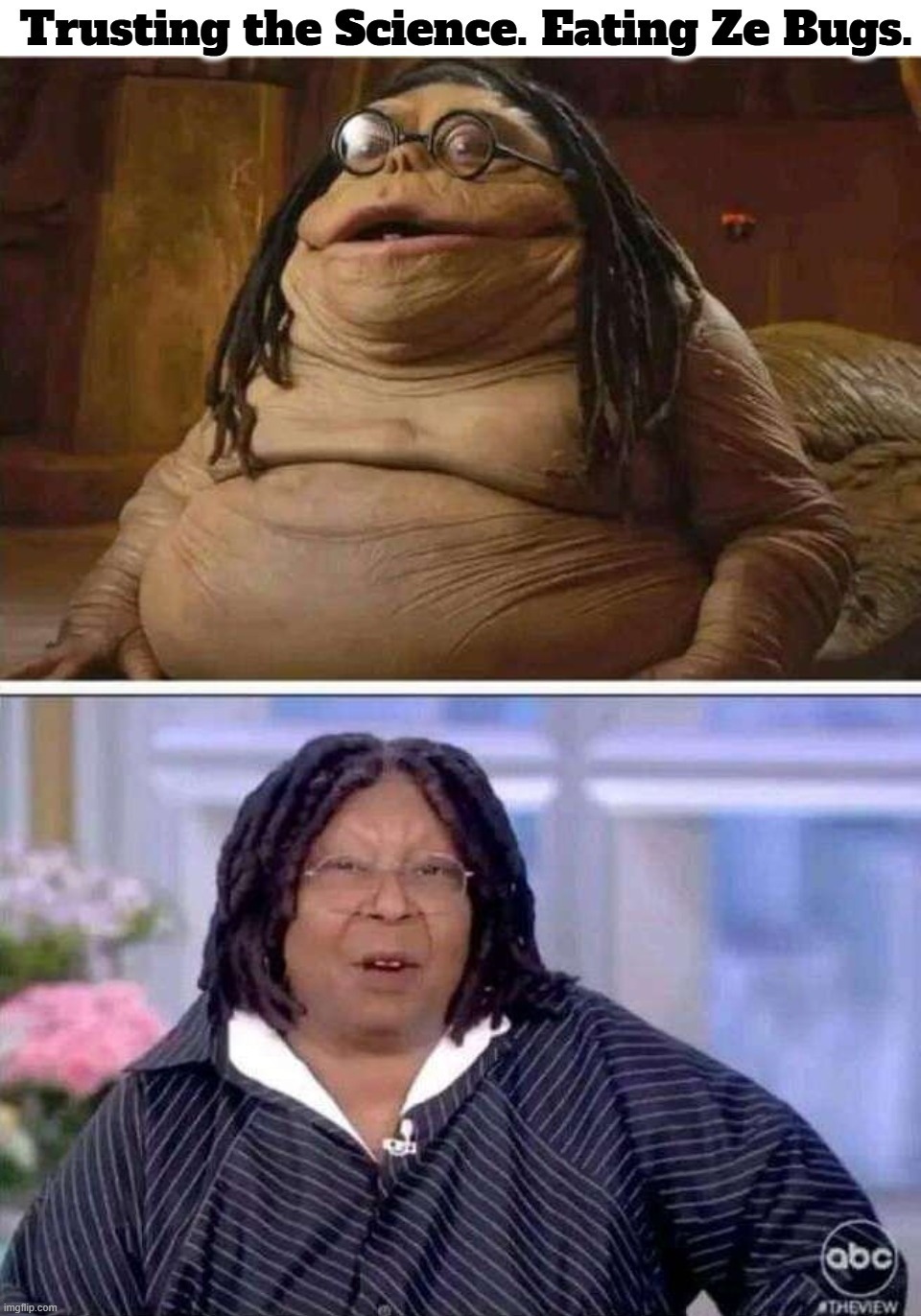 Trusting the Science. Eating Ze Bugs. | image tagged in trust the science,eating bugs,toilet brush,whoopi goldberg,jabba the hutt,fat bitch | made w/ Imgflip meme maker
