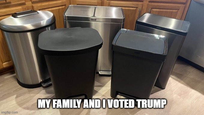 My family and I voted Trump | MY FAMILY AND I VOTED TRUMP | image tagged in president trump,donald trump,garbage | made w/ Imgflip meme maker