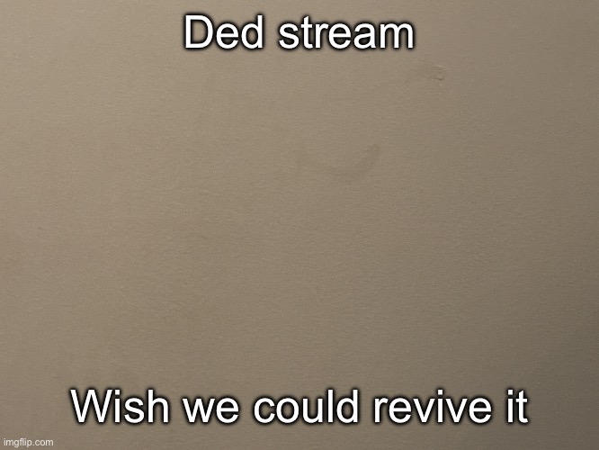 Tako Wall Reveal | Ded stream; Wish we could revive it | image tagged in tako wall reveal | made w/ Imgflip meme maker