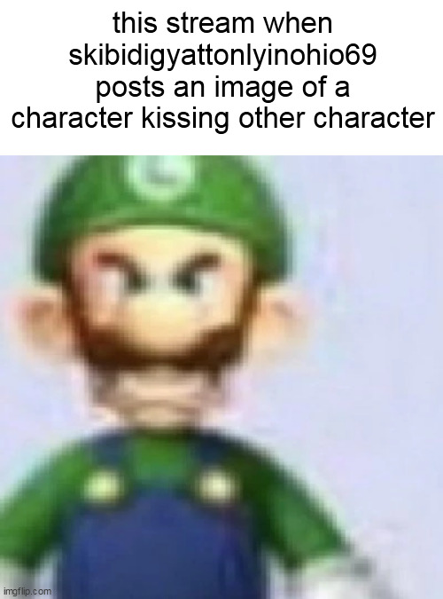 "PEOPLE KISSING IS BAD ITS A CRIME!!!" | this stream when skibidigyattonlyinohio69 posts an image of a character kissing other character | image tagged in angry luigi | made w/ Imgflip meme maker