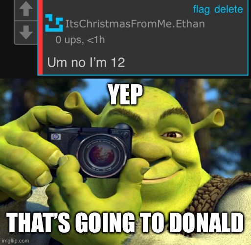YEP; THAT’S GOING TO DONALD | image tagged in shrek caught in 4k | made w/ Imgflip meme maker