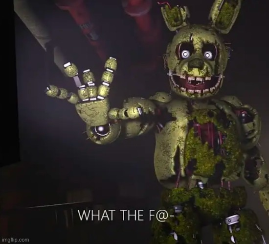 Springtrap WTF | image tagged in springtrap wtf | made w/ Imgflip meme maker