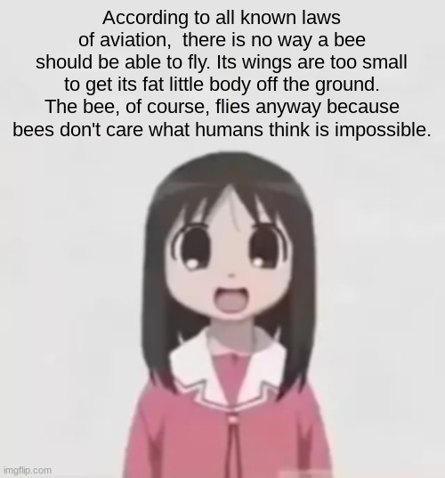 osaka is scary uncropped | According to all known laws
of aviation,  there is no way a bee
should be able to fly. Its wings are too small to get its fat little body off the ground. The bee, of course, flies anyway because bees don't care what humans think is impossible. | image tagged in osaka is scary uncropped | made w/ Imgflip meme maker