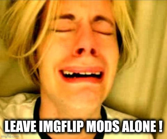 Leave Britney Alone | LEAVE IMGFLIP MODS ALONE ! | image tagged in leave britney alone | made w/ Imgflip meme maker