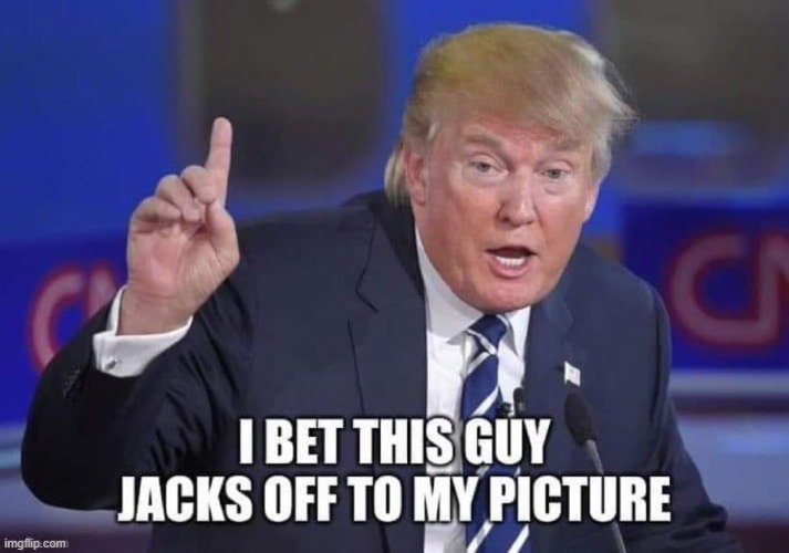 Trump Comeback | image tagged in trump comeback | made w/ Imgflip meme maker