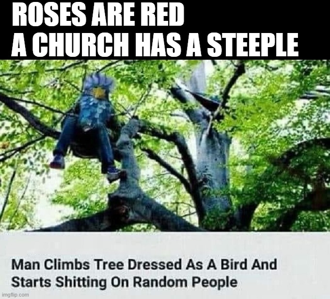 Birding people | ROSES ARE RED
A CHURCH HAS A STEEPLE | image tagged in birds | made w/ Imgflip meme maker