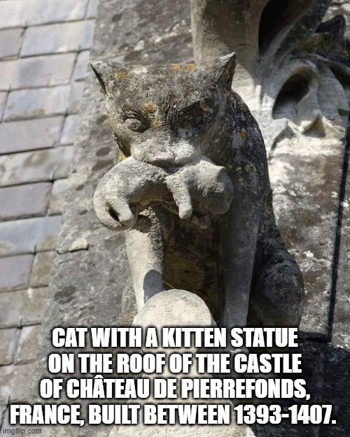 Amazing | CAT WITH A KITTEN STATUE ON THE ROOF OF THE CASTLE OF CHÂTEAU DE PIERREFONDS, FRANCE, BUILT BETWEEN 1393-1407. | image tagged in cats,funny memes,wow,cool | made w/ Imgflip meme maker