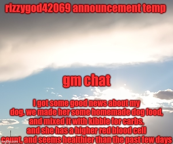 update on my dog | gm chat; I got some good news about my dog. we made her some homemade dog food, and mixed it with kibble for carbs, and she has a higher red blood cell count, and seems healthier than the past few days | image tagged in rizzygod42069 temp | made w/ Imgflip meme maker