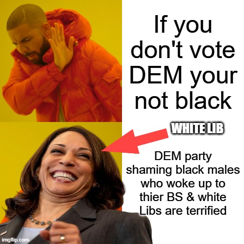 Wake up the party of lies and war want your vote | If you don't vote DEM your not black; WHITE LIB; DEM party shaming black males who woke up to thier BS & white Libs are terrified | image tagged in memes,drake hotline bling | made w/ Imgflip meme maker