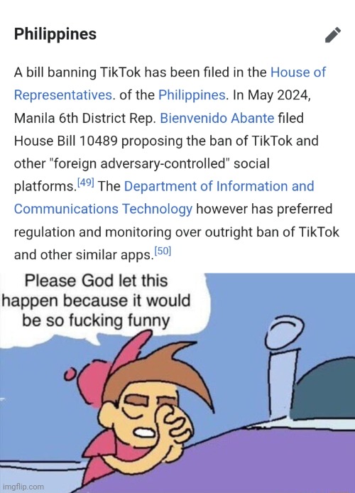 OMG TikTok is going to be banned in my country | image tagged in please god let this happen,philippines,tiktok,banned | made w/ Imgflip meme maker