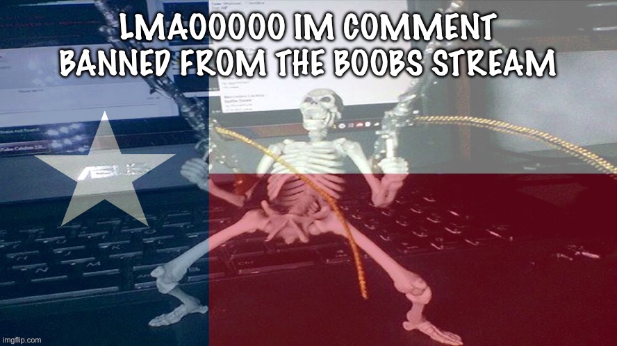 TEXAS RAAAAAAHHH | LMAOOOOO IM COMMENT BANNED FROM THE BOOBS STREAM | image tagged in texas raaaaaahhh | made w/ Imgflip meme maker