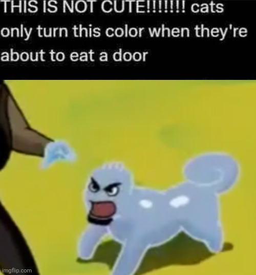 This is NOT cute | image tagged in this is not cute | made w/ Imgflip meme maker