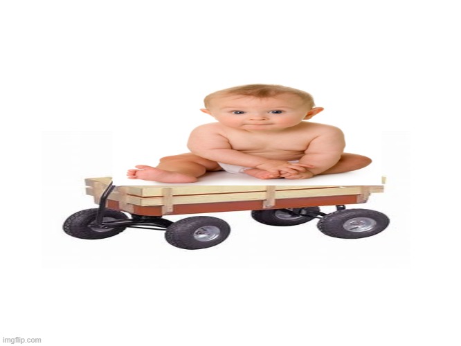 wgon bby!!! | image tagged in wgon bby | made w/ Imgflip meme maker