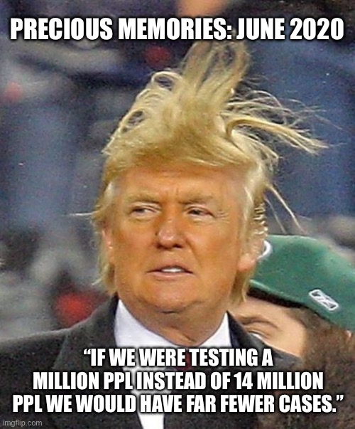 Loser boy | PRECIOUS MEMORIES: JUNE 2020; “IF WE WERE TESTING A MILLION PPL INSTEAD OF 14 MILLION PPL WE WOULD HAVE FAR FEWER CASES.” | image tagged in donald trumph hair | made w/ Imgflip meme maker