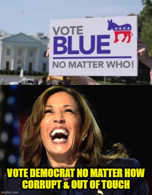 More Leftist Logic | VOTE DEMOCRAT NO MATTER HOW
CORRUPT & OUT OF TOUCH | image tagged in democratic party | made w/ Imgflip meme maker