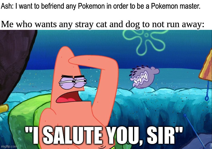 He got my attention | Ash: I want to befriend any Pokemon in order to be a Pokemon master. Me who wants any stray cat and dog to not run away:; "I SALUTE YOU, SIR" | image tagged in memes,funny,pokemon,spongebob | made w/ Imgflip meme maker