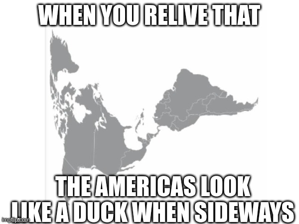 WHEN YOU RELIVE THAT THE AMERICAS LOOK LIKE A DUCK WHEN SIDEWAYS | made w/ Imgflip meme maker