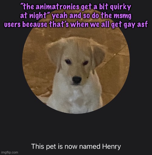 say hi to Henry | “the animatronics get a bit quirky at night” yeah and so do the msmg users because that’s when we all get gay asf | image tagged in say hi to henry | made w/ Imgflip meme maker