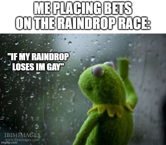 kermit window | ME PLACING BETS ON THE RAINDROP RACE:; "IF MY RAINDROP LOSES IM GAY" | image tagged in kermit window | made w/ Imgflip meme maker