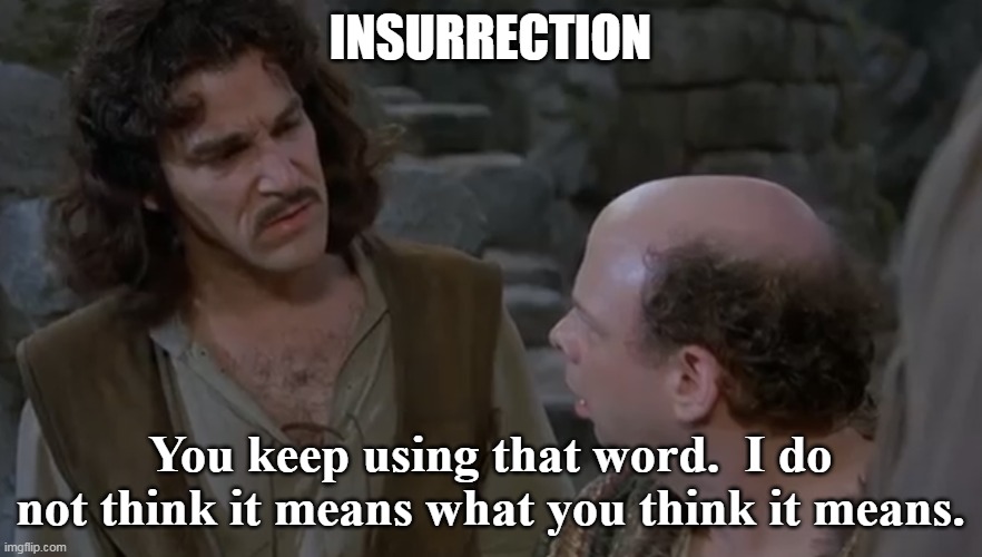 You keep using that word. | INSURRECTION You keep using that word.  I do not think it means what you think it means. | image tagged in you keep using that word | made w/ Imgflip meme maker