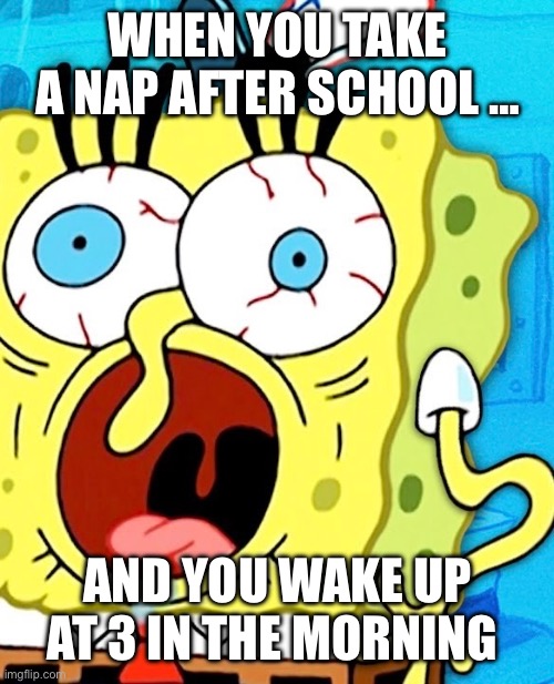 Me after school | WHEN YOU TAKE A NAP AFTER SCHOOL …; AND YOU WAKE UP AT 3 IN THE MORNING | image tagged in pov | made w/ Imgflip meme maker