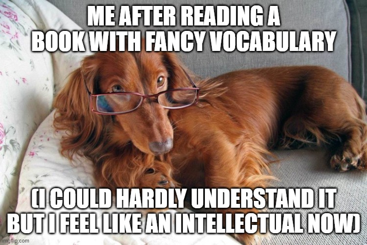 its the thought that counts | ME AFTER READING A BOOK WITH FANCY VOCABULARY; (I COULD HARDLY UNDERSTAND IT BUT I FEEL LIKE AN INTELLECTUAL NOW) | image tagged in intellectual dog,funny,memes | made w/ Imgflip meme maker