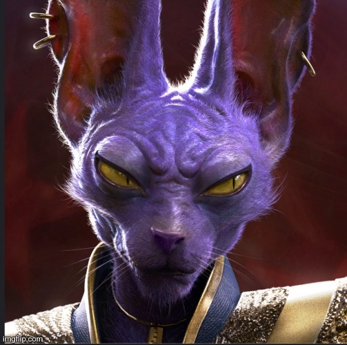 HYPERREALISTIC BEERUS | made w/ Imgflip meme maker