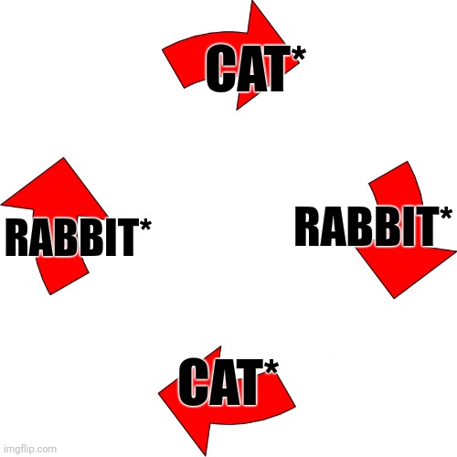 Four red arrows vicious cycle | CAT* RABBIT* CAT* RABBIT* | image tagged in four red arrows vicious cycle | made w/ Imgflip meme maker