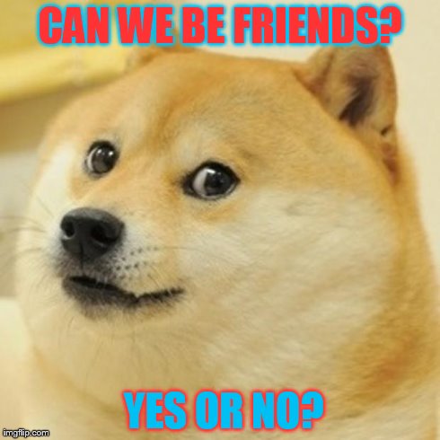 Doge Meme | CAN WE BE FRIENDS?  YES OR NO? | image tagged in memes,doge | made w/ Imgflip meme maker