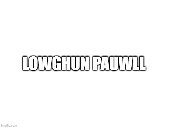 Lowghun Pauwll | LOWGHUN PAUWLL | image tagged in lowghunpawull is nothing,memes,antiloganpaul | made w/ Imgflip meme maker