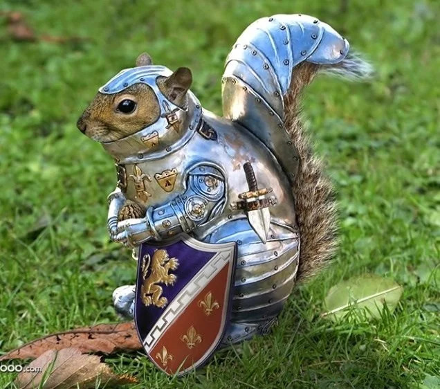 Squirrel armor Blank Meme Template