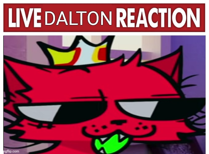 Live reaction | DALTON | image tagged in live reaction | made w/ Imgflip meme maker