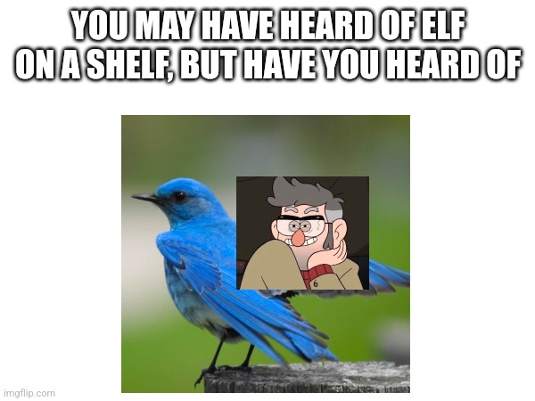 Elf on a Shelf | YOU MAY HAVE HEARD OF ELF ON A SHELF, BUT HAVE YOU HEARD OF | image tagged in elf on the shelf,you've heard of elf on the shelf,gravity falls,gravity falls meme,birds,bird | made w/ Imgflip meme maker