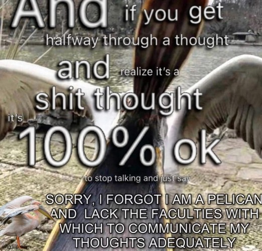 made w/ Imgflip meme maker