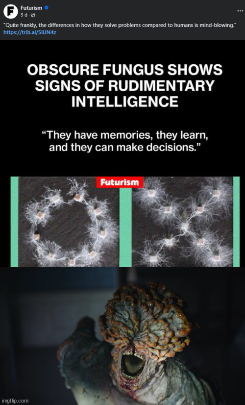 Smart Fungus | image tagged in the last of us bible clicker,fungus,fungi,intelligence | made w/ Imgflip meme maker