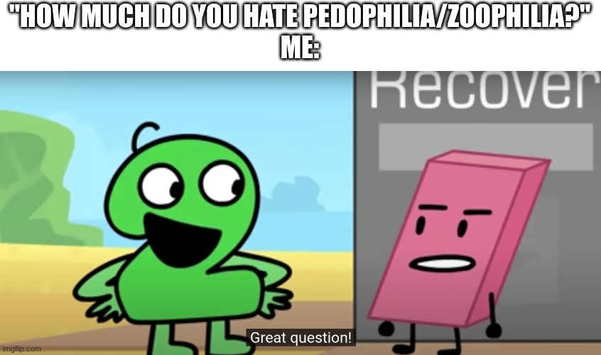 Great Question | "HOW MUCH DO YOU HATE PEDOPHILIA/ZOOPHILIA?"
ME: | image tagged in great question | made w/ Imgflip meme maker