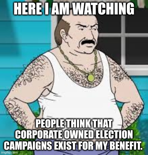 Carl | HERE I AM WATCHING; PEOPLE THINK THAT CORPORATE OWNED ELECTION CAMPAIGNS EXIST FOR MY BENEFIT. | image tagged in rigged elections | made w/ Imgflip meme maker