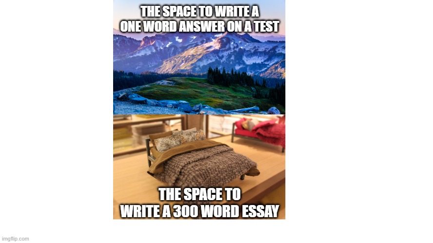 So true | THE SPACE TO WRITE A ONE WORD ANSWER ON A TEST; THE SPACE TO WRITE A 300 WORD ESSAY | image tagged in funny | made w/ Imgflip meme maker