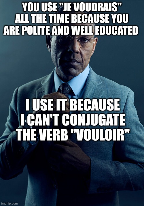 Gus Fring we are not the same | YOU USE "JE VOUDRAIS" ALL THE TIME BECAUSE YOU ARE POLITE AND WELL EDUCATED; I USE IT BECAUSE I CAN'T CONJUGATE THE VERB "VOULOIR" | image tagged in gus fring we are not the same | made w/ Imgflip meme maker