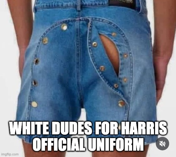 White Dudes | WHITE DUDES FOR HARRIS
OFFICIAL UNIFORM | made w/ Imgflip meme maker