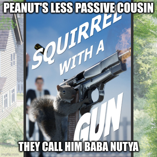 Baba Nutya | PEANUT'S LESS PASSIVE COUSIN; THEY CALL HIM BABA NUTYA | image tagged in funny memes | made w/ Imgflip meme maker