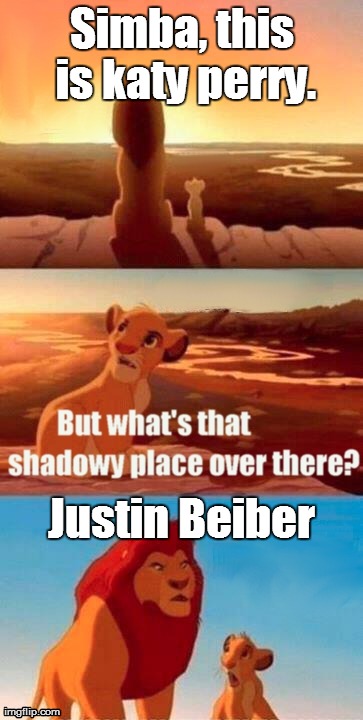 Simba Shadowy Place