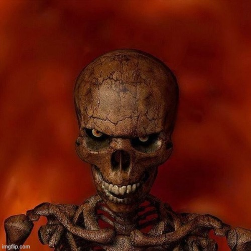 do not skeleton | image tagged in do not skeleton | made w/ Imgflip meme maker