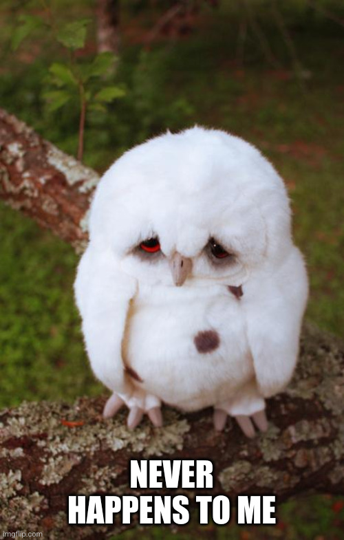 sad owl | NEVER HAPPENS TO ME | image tagged in sad owl | made w/ Imgflip meme maker