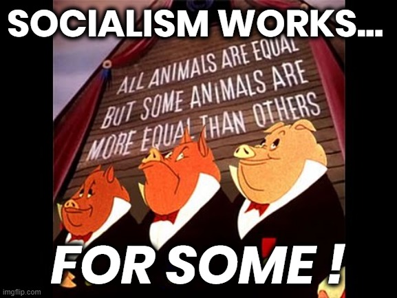 SOCIALISM WORKS ... | SOCIALISM WORKS... FOR SOME ! | image tagged in animal farm pigs,few,some,pigs,socialist,failure | made w/ Imgflip meme maker