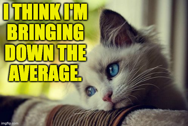 First World Problems Cat Meme | I THINK I'M
BRINGING
DOWN THE
AVERAGE. | image tagged in memes,first world problems cat | made w/ Imgflip meme maker